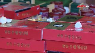 Thuốc an cung giả và những hệ lụy phía sau