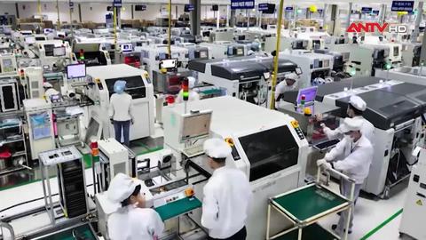 Triển khai kế hoạch hành động thực hiện Nghị quyết số 10-NQ/TW